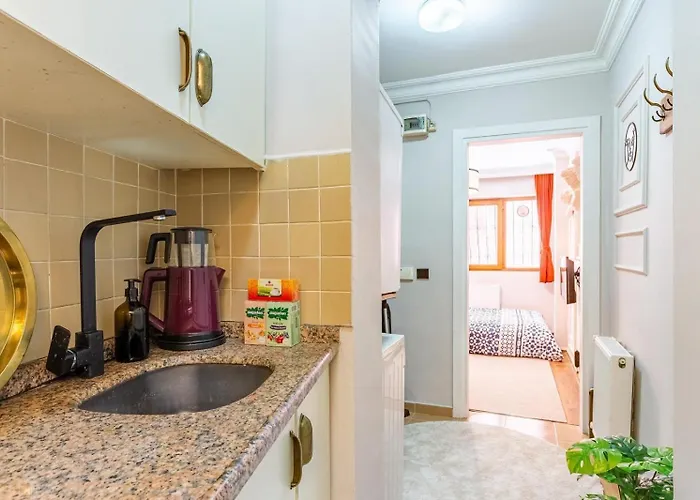 Apartament Galata Hidden